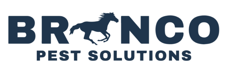 Bronco Pest Solutions